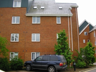 Penguin Properties - Bedford